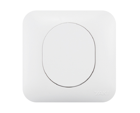 One blank cover plate (white)
